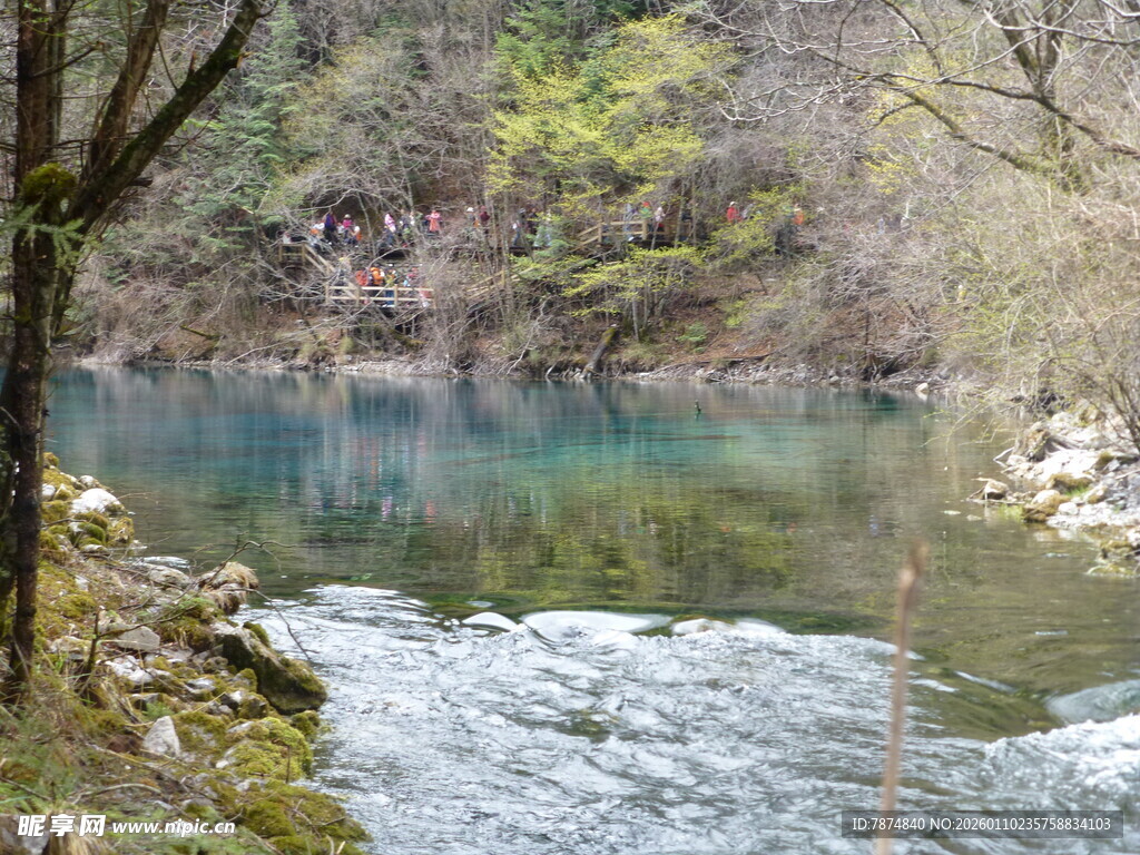 山间清澈溪流与葱郁树木