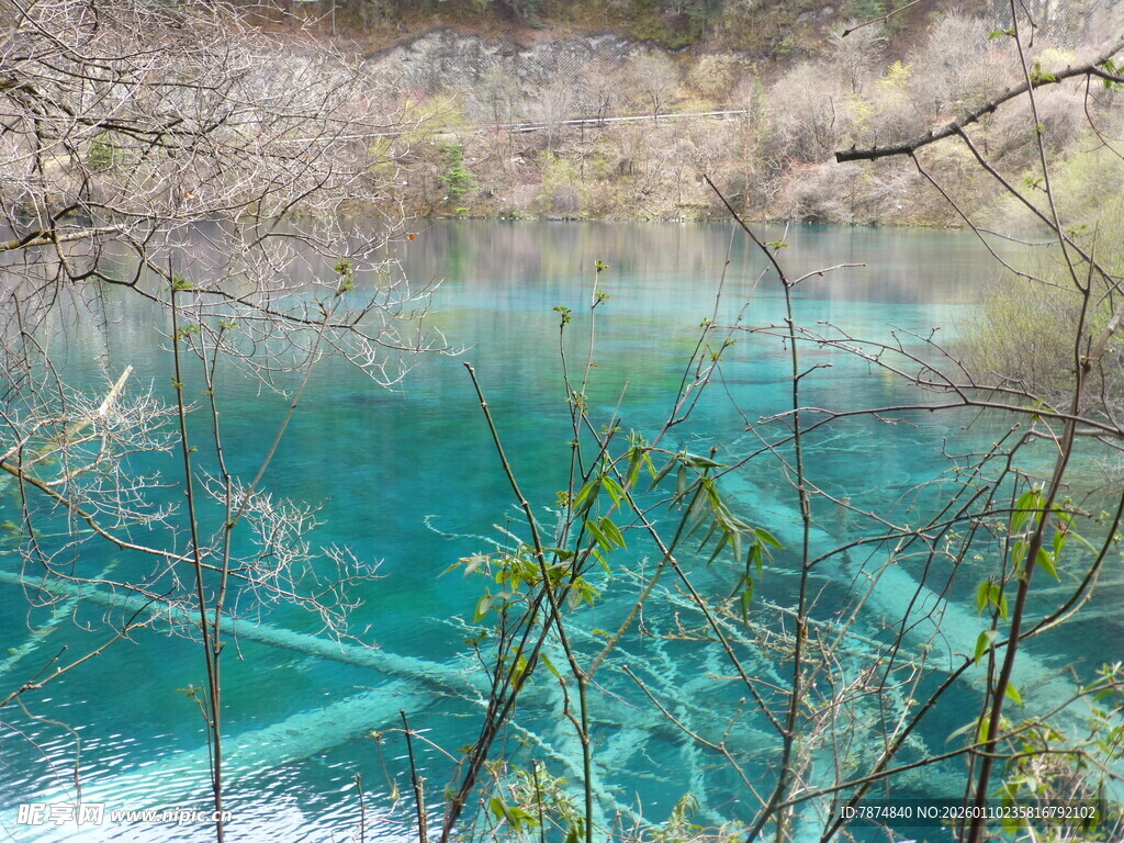 梦幻蓝湖 林间静谧之景