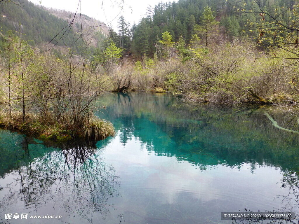 山间幽蓝清澈的静谧溪流