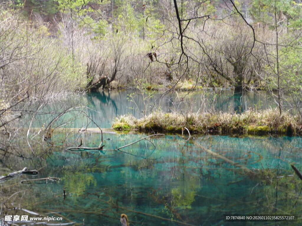 幽美清澈的森林湖泊景观