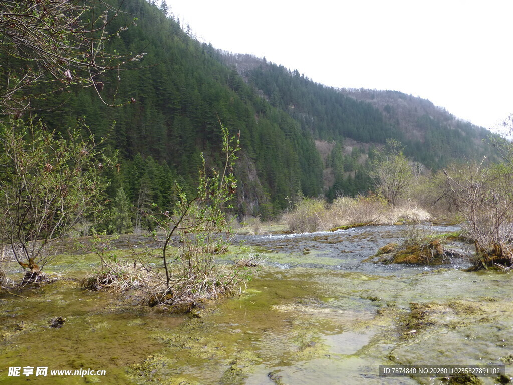 山间溪流 自然清新景致