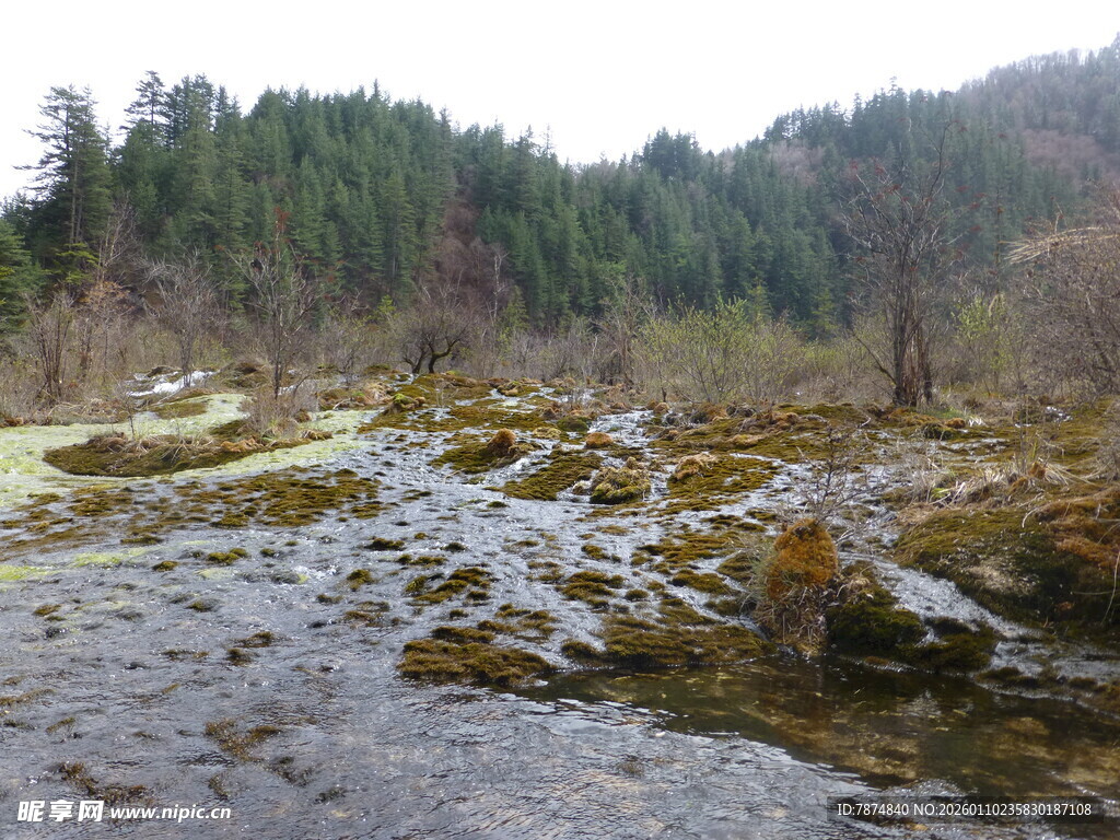 山间溪流 自然清新之景