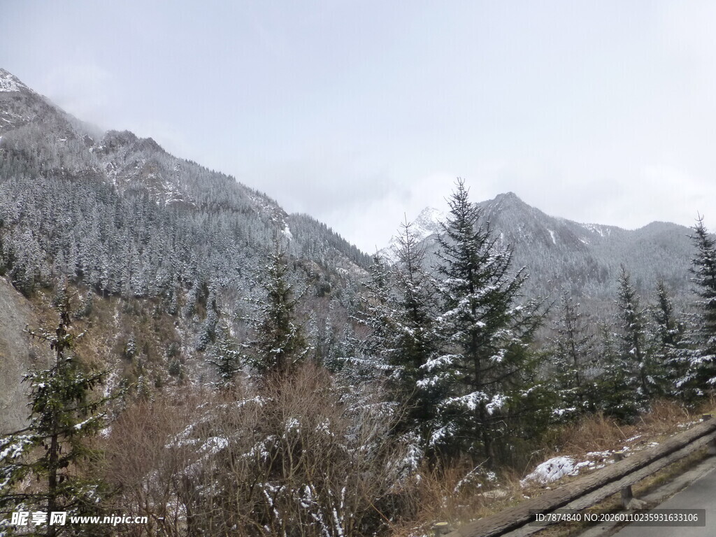 冬日雪山旁的林间公路