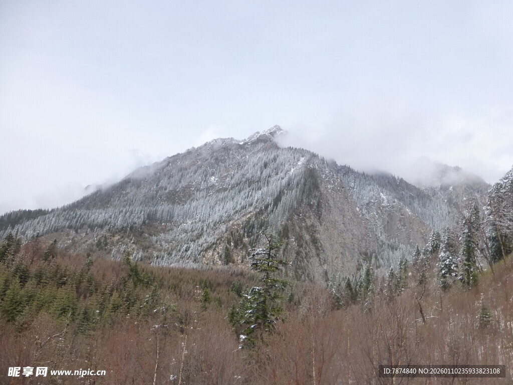 雪覆山峦 山林初显冬意