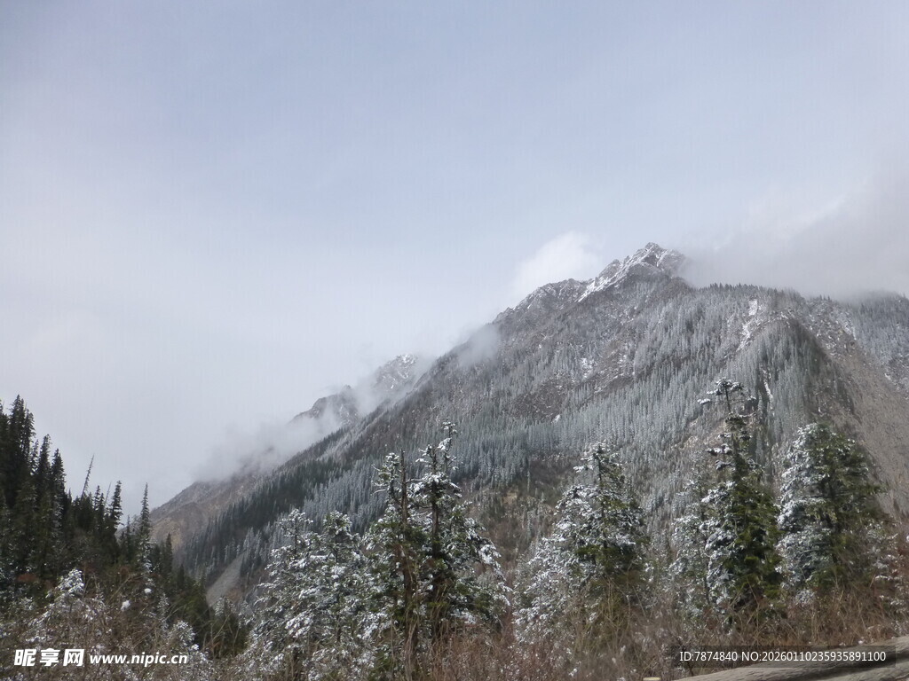雪覆山峦 林间雾霭景致