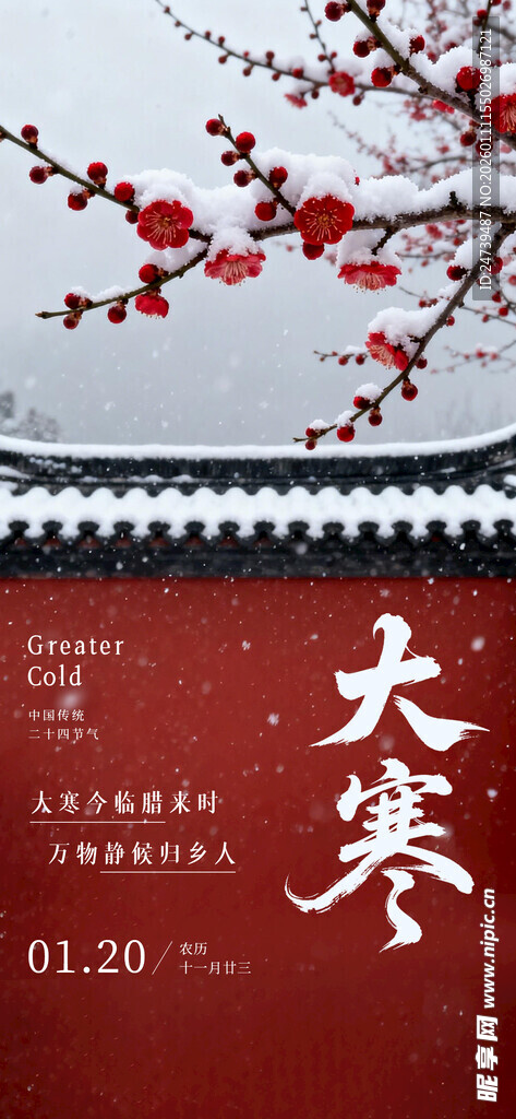 大寒海报
