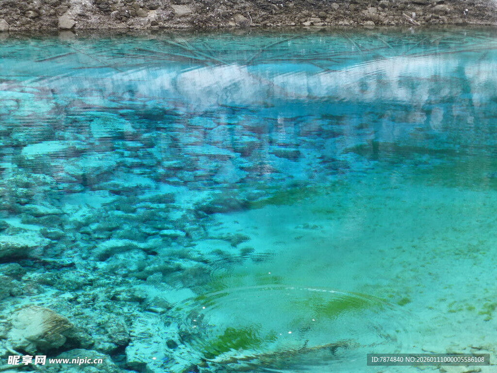 清澈见底的水下世界