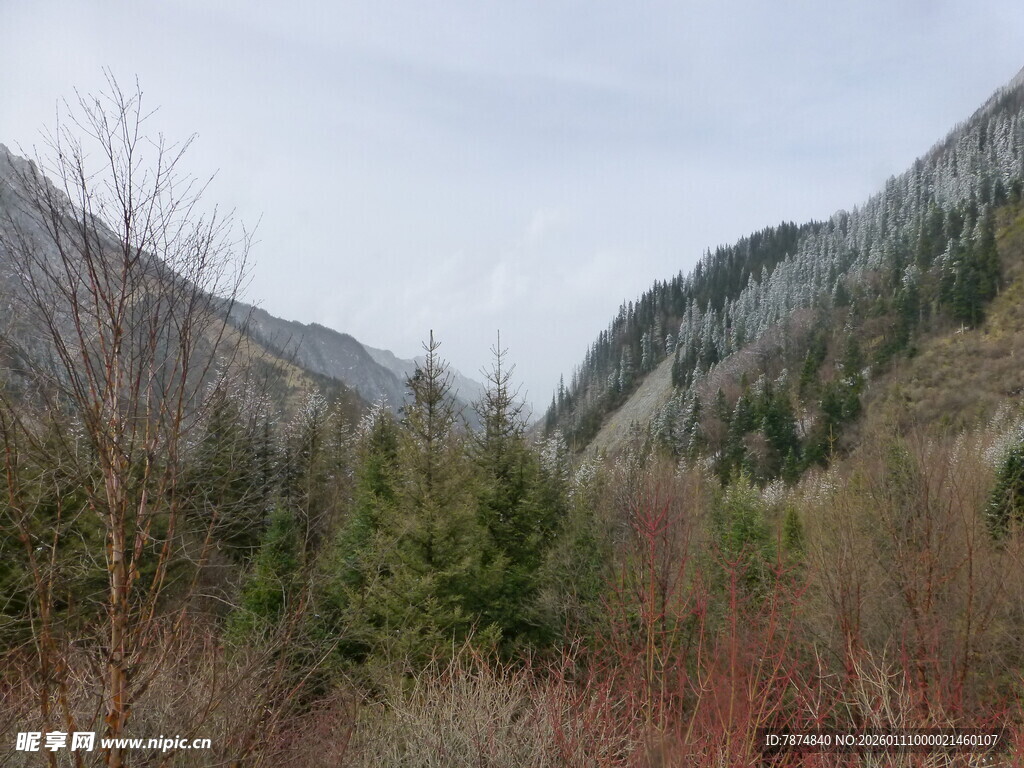 山间景色 植被与山峦相映