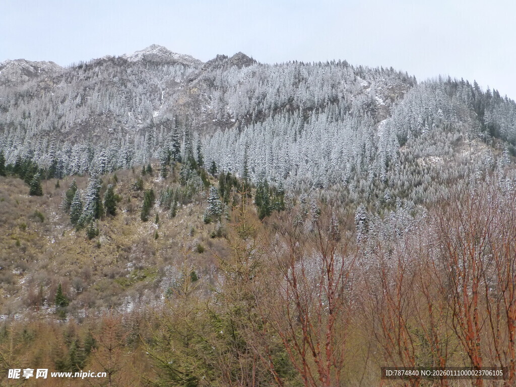 雪覆山峦间的多彩植被