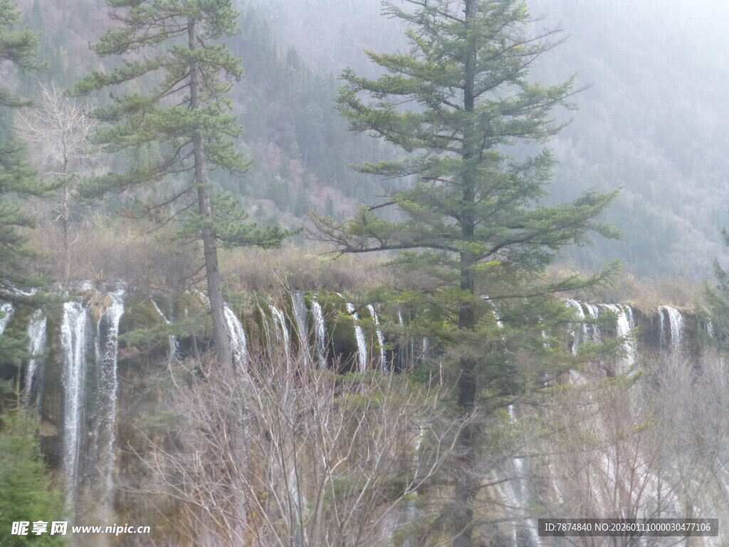 山间雾中冰挂与松树景观