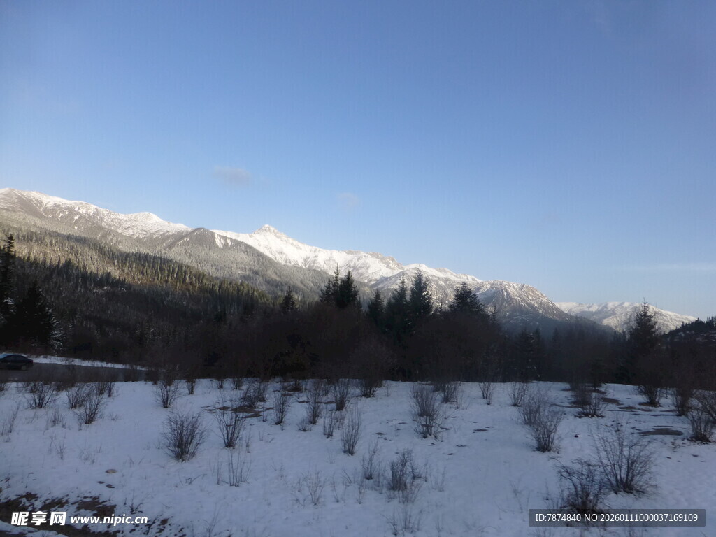 冬日雪山下的静谧雪地
