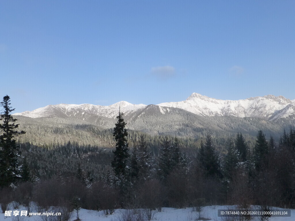 冬日雪山森林纯净美景