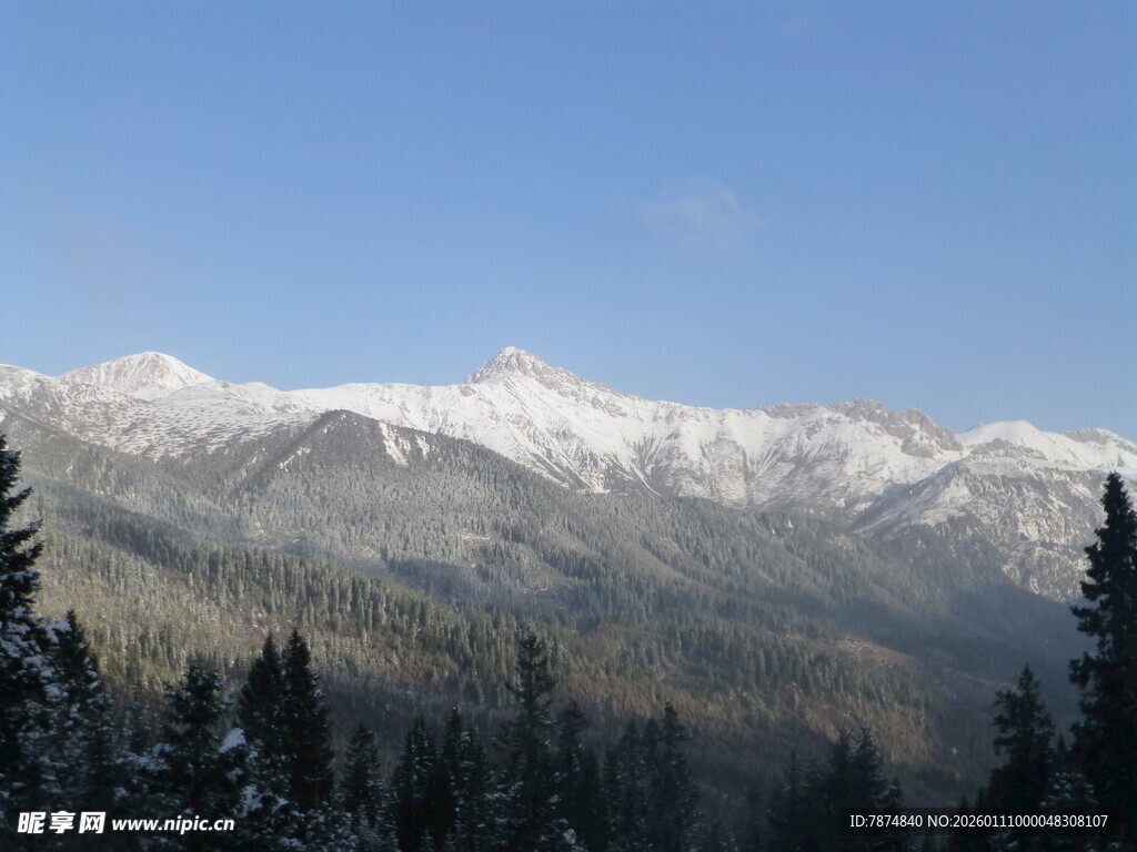 雪覆山峦与松林美景