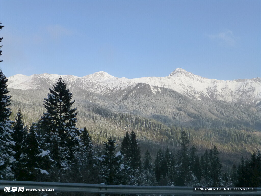 雪山下的森林美景