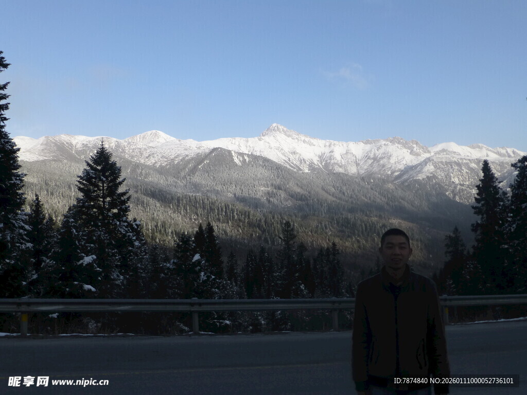 人立于雪山松林前的景致