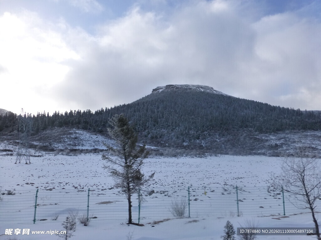 冬日雪野中的孤树与远山