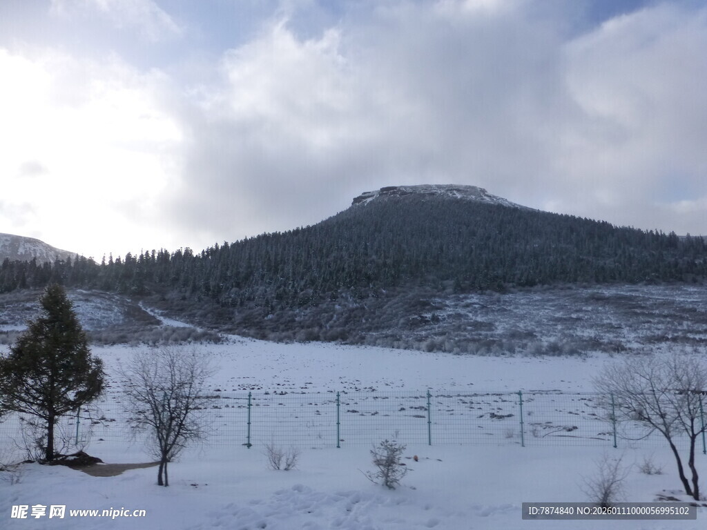 冬日雪覆山野风景