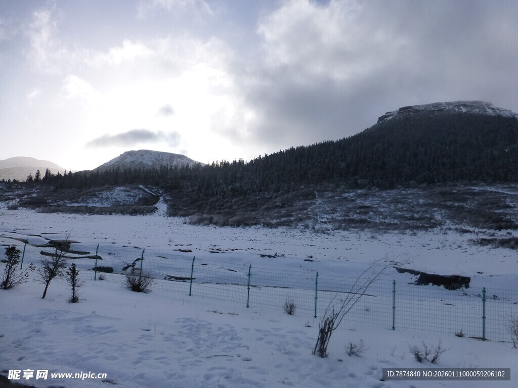 冬日雪野中的静谧景致