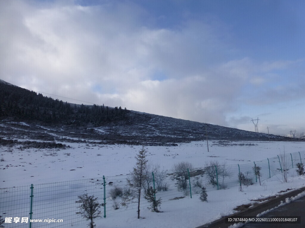 冬日田野雪景风光