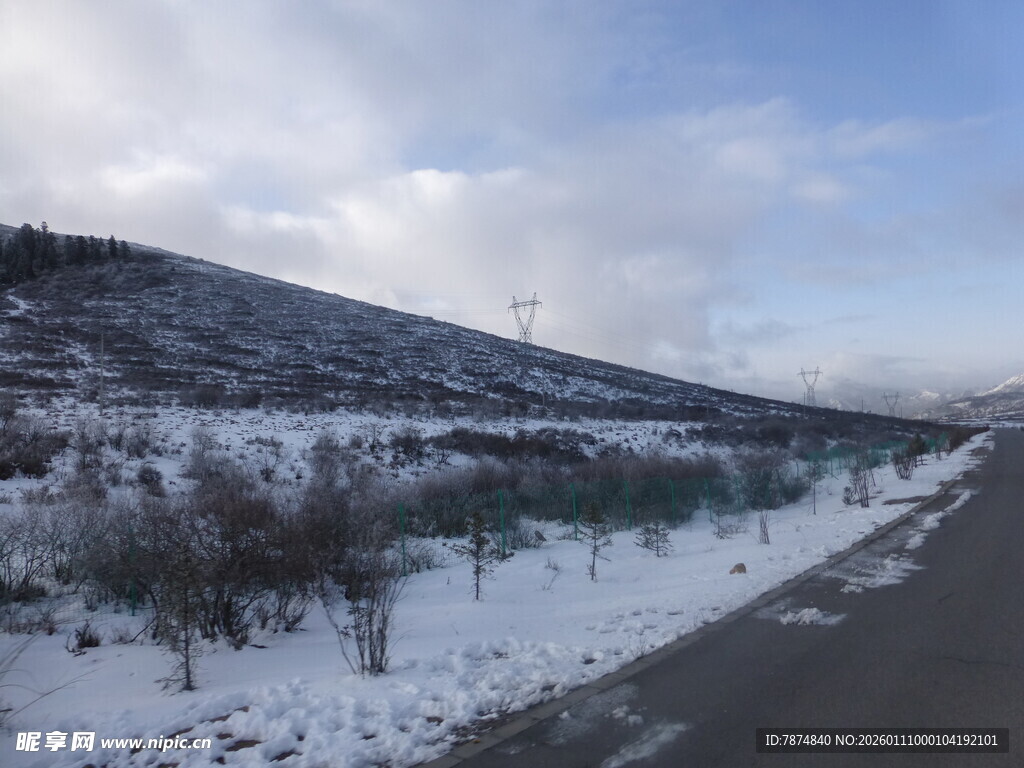 冬日雪覆路旁山林景象