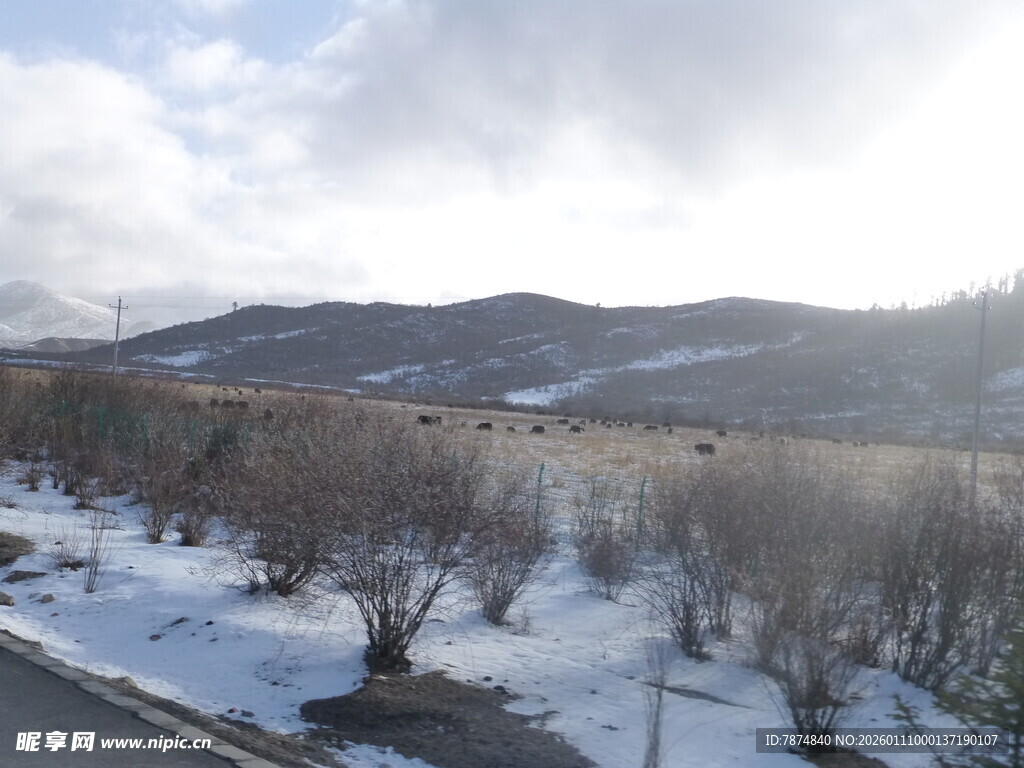 冬日雪景中的山野风光