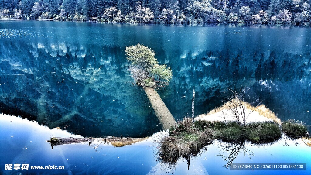 梦幻水下世界景象