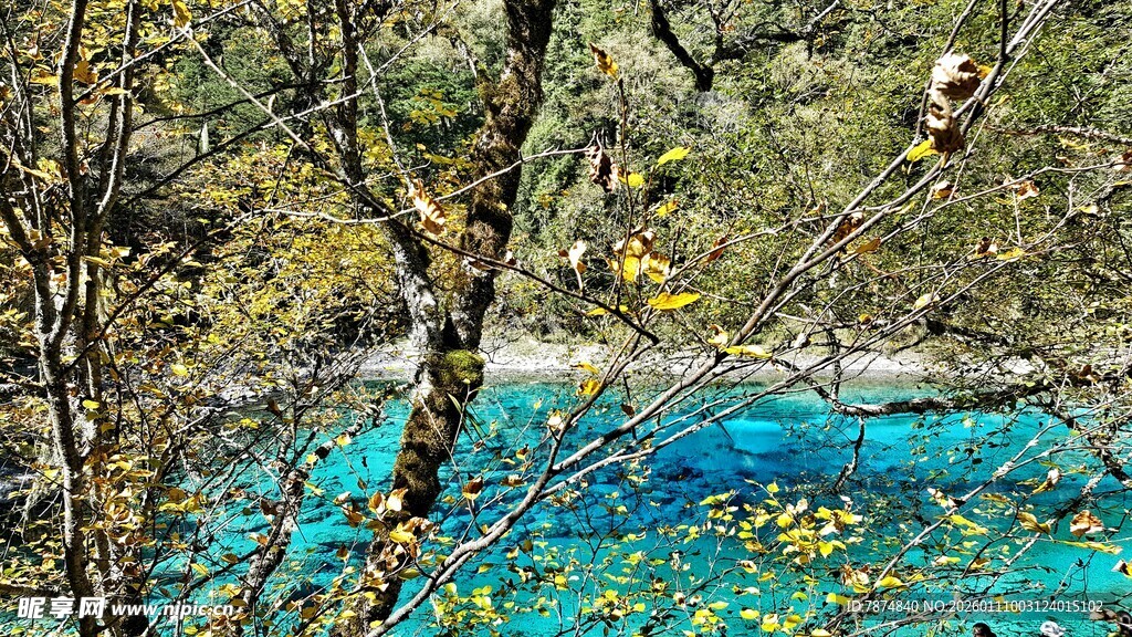 蓝湖秋色中的斑驳树影