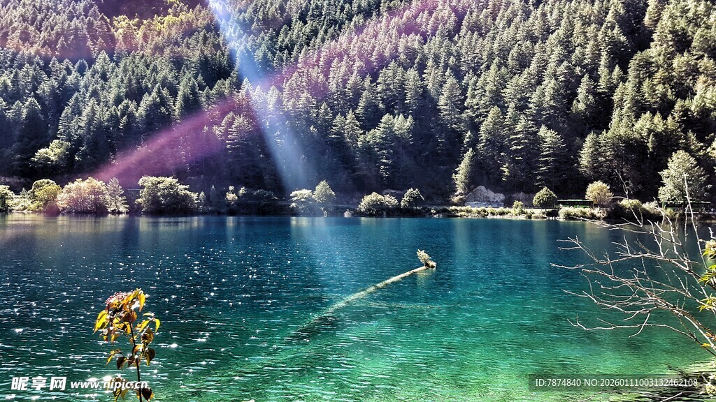 山间翠绿瀑布下的清澈湖水