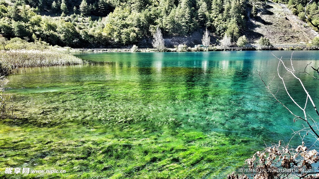 清澈碧绿的山间湖泊