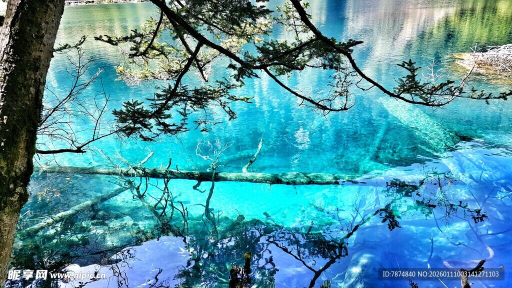 梦幻蓝湖旁的葱郁树枝