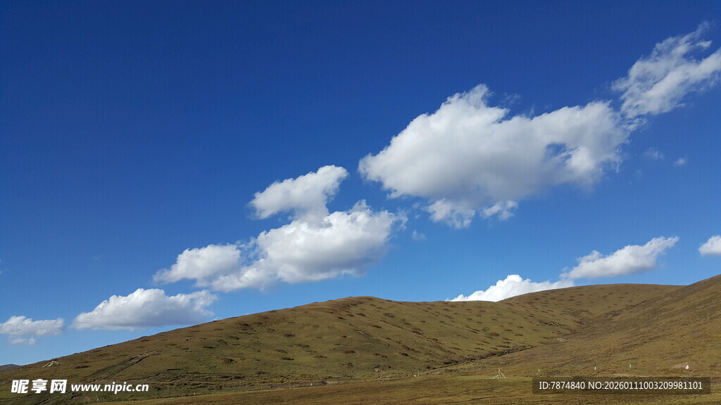 蓝天草地间的美丽景致