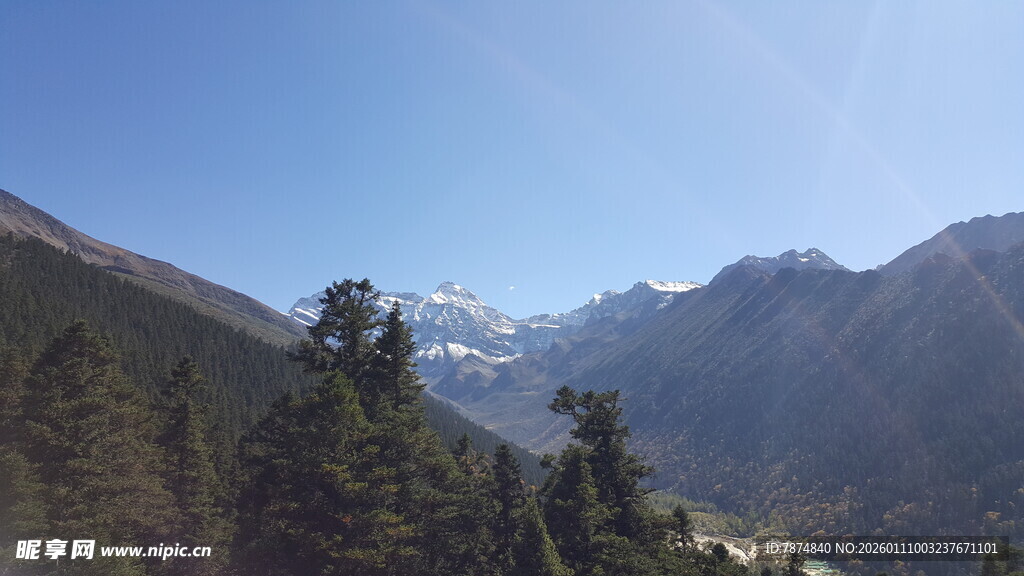 壮丽山景与葱郁林木