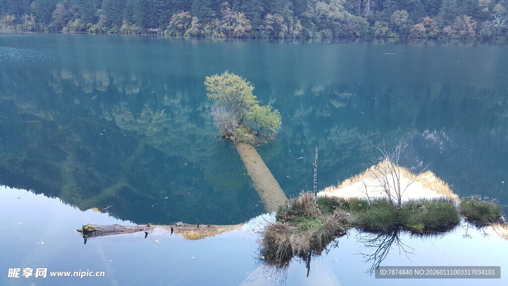 静谧湖景中的孤树与小船