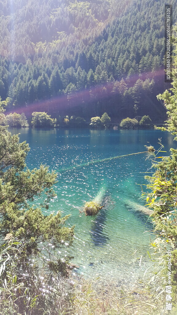 梦幻蓝湖的静谧自然景致