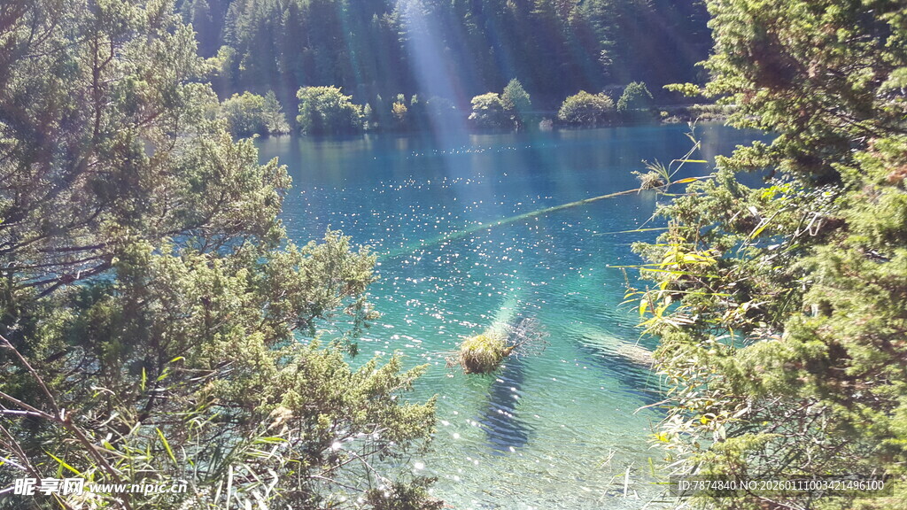 森林中的清澈幽蓝湖水