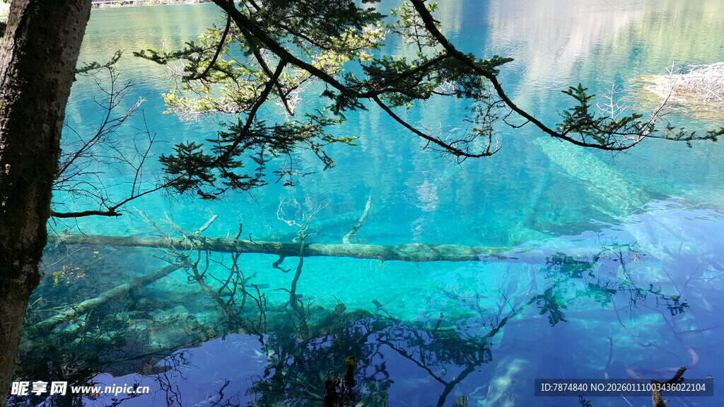 梦幻蓝湖旁的葱郁树木