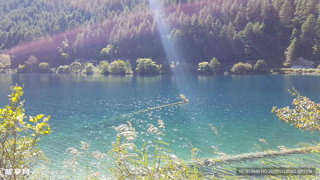 美丽湖景 自然清新风光