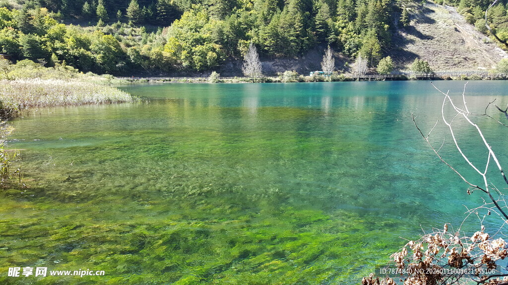 碧绿清澈的山间湖泊
