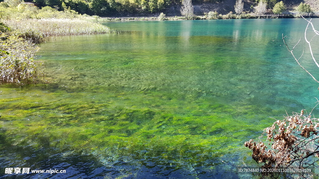 清澈碧绿的美丽湖水景观