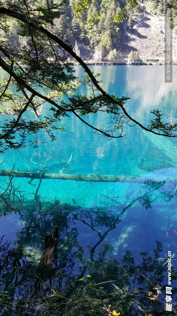 清澈蓝湖与岸边繁茂树木