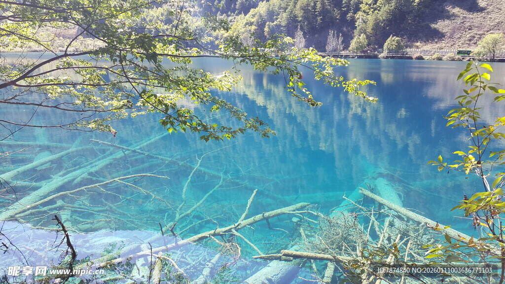 清澈蓝湖与周边葱郁景致