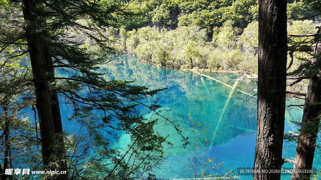 梦幻蓝湖森林美景