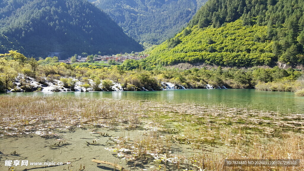 山间清澈溪流与翠绿景致