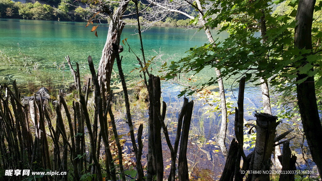 溪边木栅栏与翠绿山水