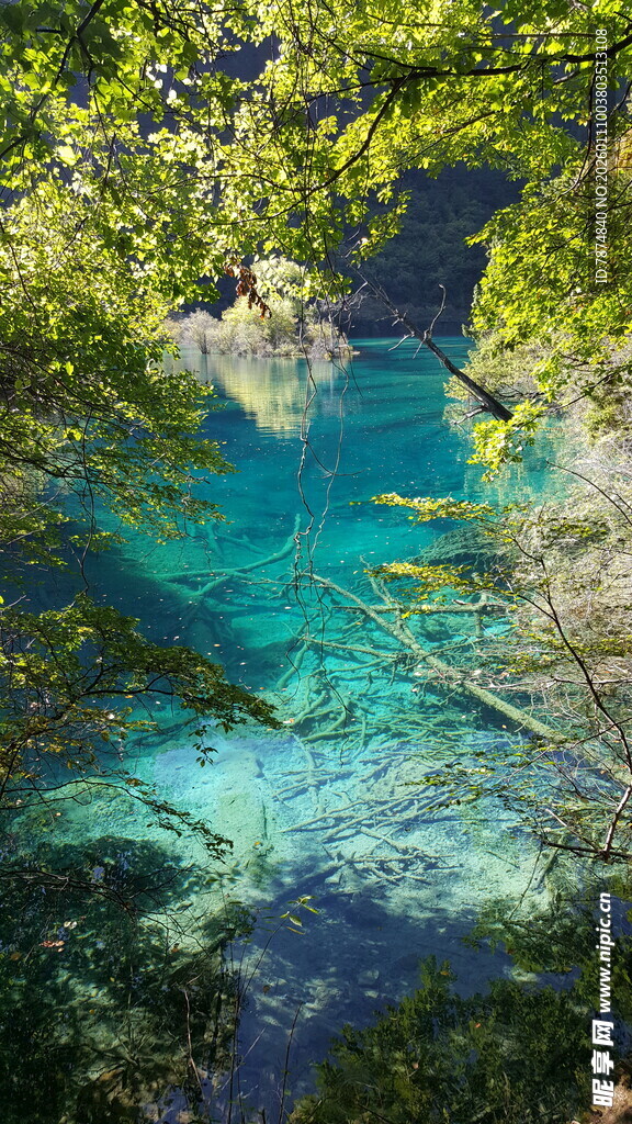 清澈蓝绿相间的美丽水域
