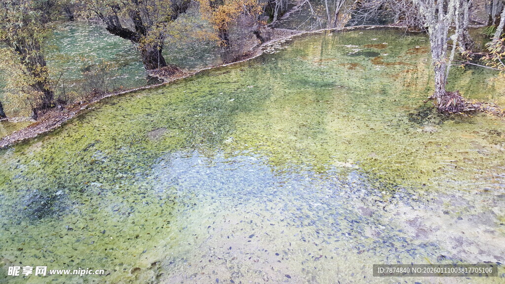 山间清澈小溪景色
