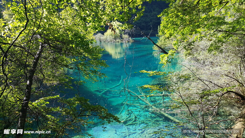 山间蓝绿色清澈溪流美景