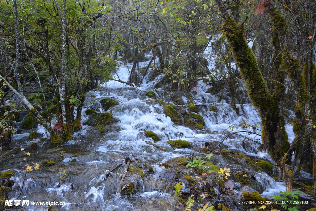 山间溪流潺潺的自然美景