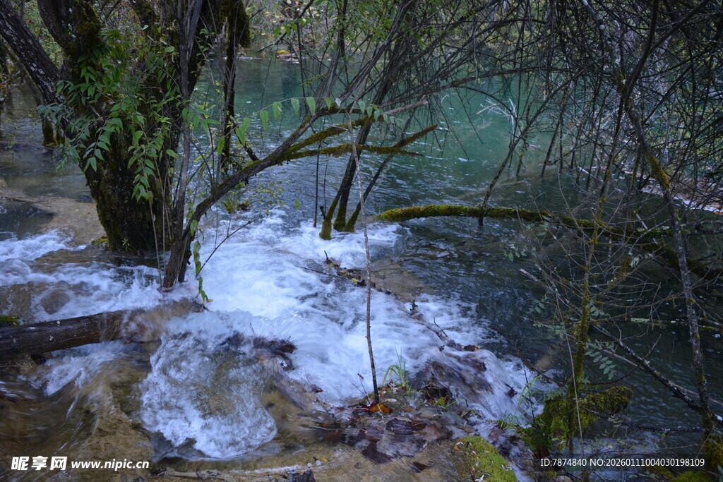 林间冰雪覆盖的清澈溪流