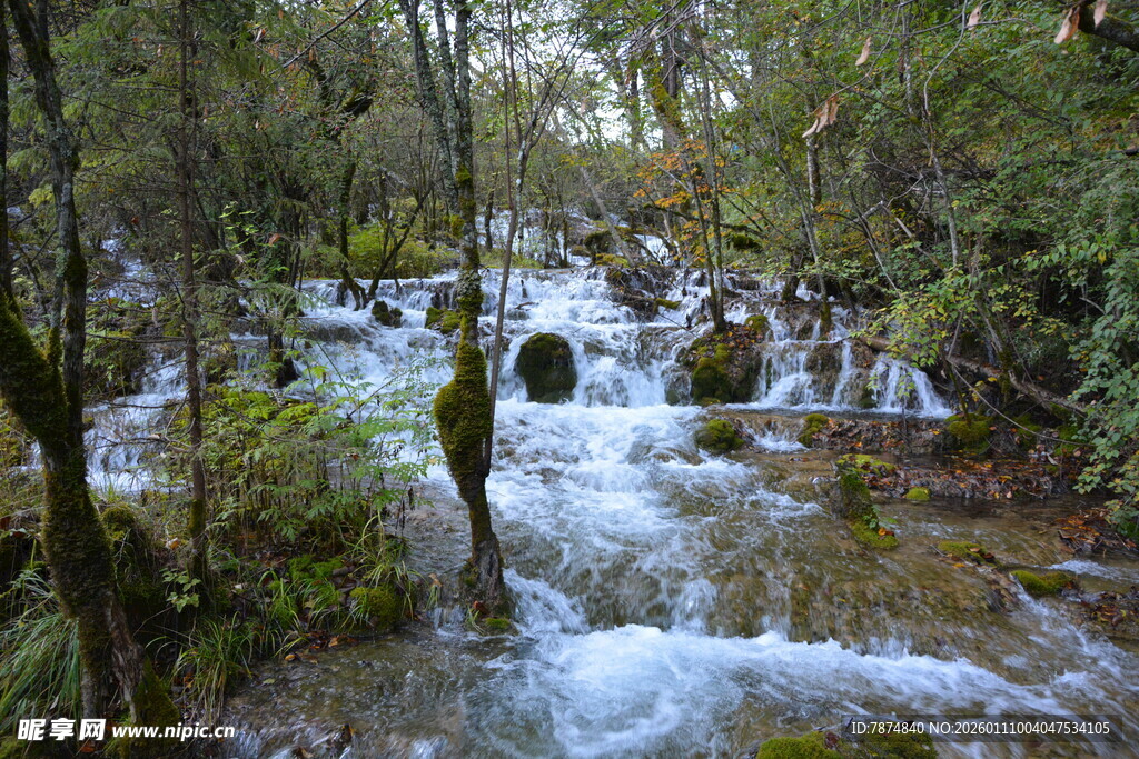 山林间的潺潺溪流